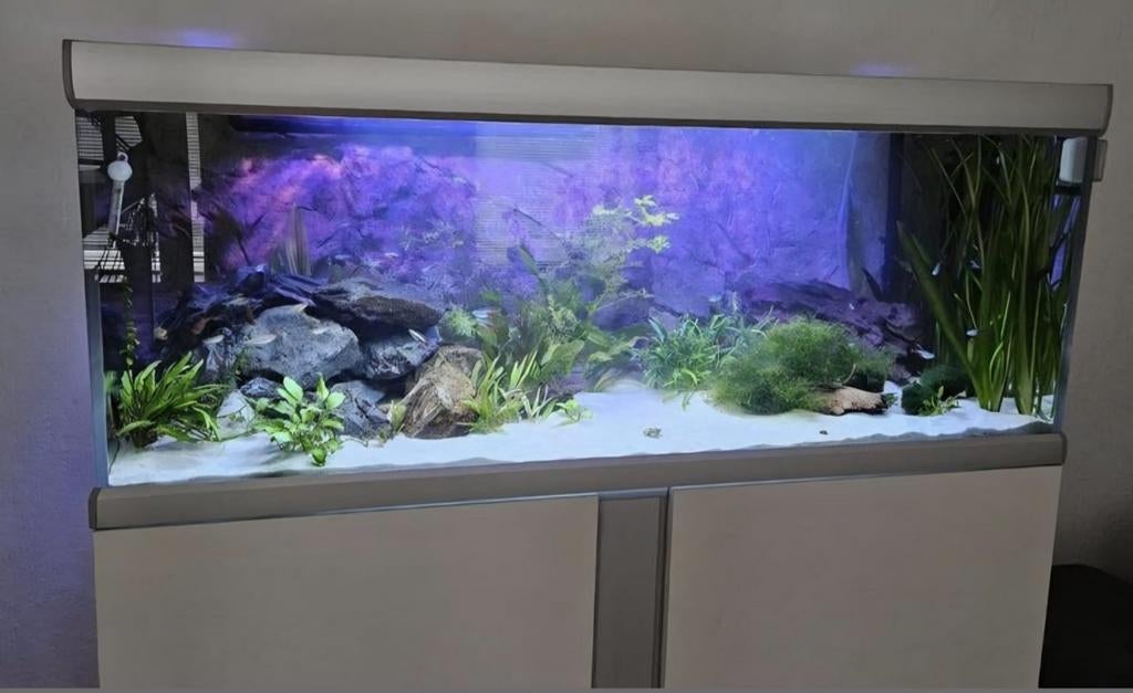 Fusion Aqarium 300 liter compleet, Dieren en Toebehoren, Vissen | Aquaria en Toebehoren, Ophalen, Gebruikt, Overige merken, Leeg aquarium