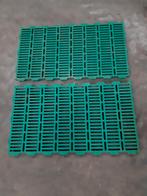 Paddock platen, biggen roosters, Ophalen