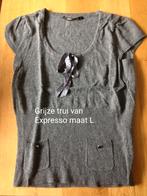 Grijze trui/spencer van Expresso maat L, Kleding | Dames, Truien en Vesten, Expresso, Maat 42/44 (L), Ophalen of Verzenden, Zo goed als nieuw