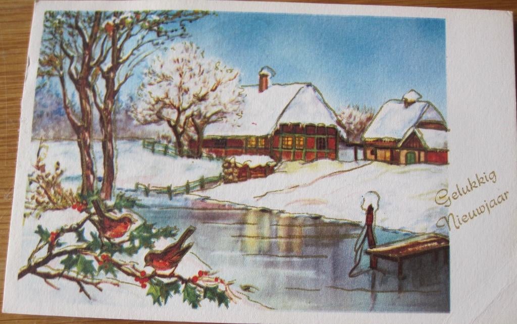 Gelukkig nieuwjaar - vogels langs sloot, met aanlegsteiger, Verzenden, 1960 tot 1980, Gelopen, Overige thema's