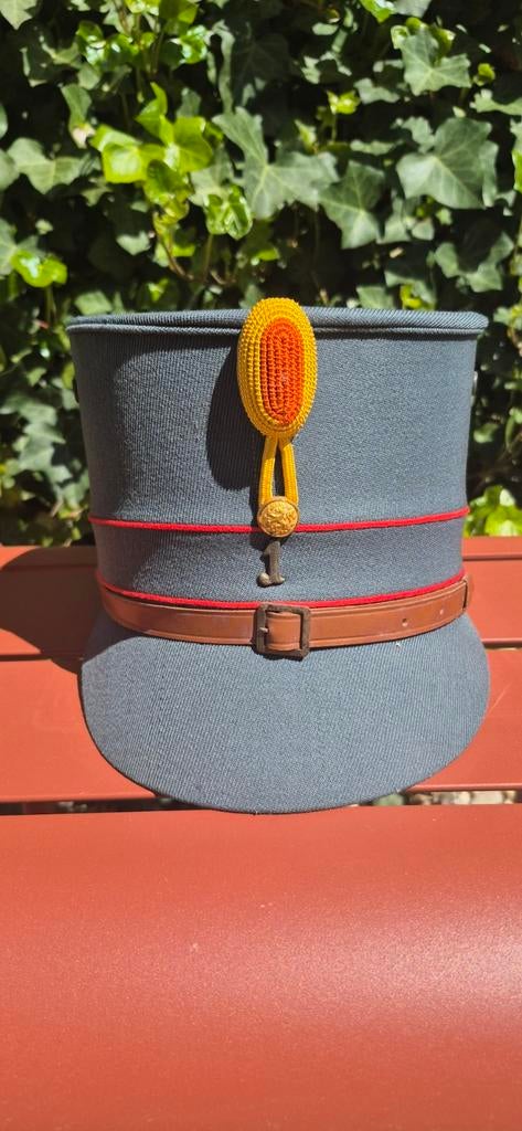 Ned voor 40 kepie oof artillerie, Ophalen of Verzenden, Nederland, Embleem of Badge