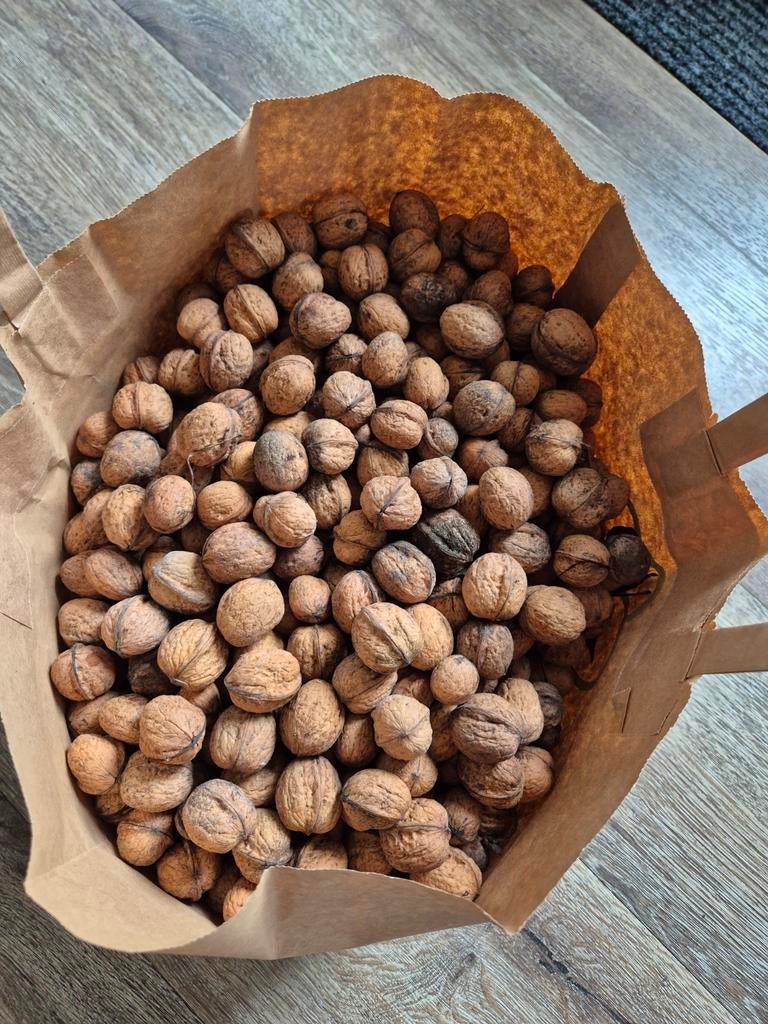 5,7 kilo gedroogde walnoten, Ophalen of Verzenden