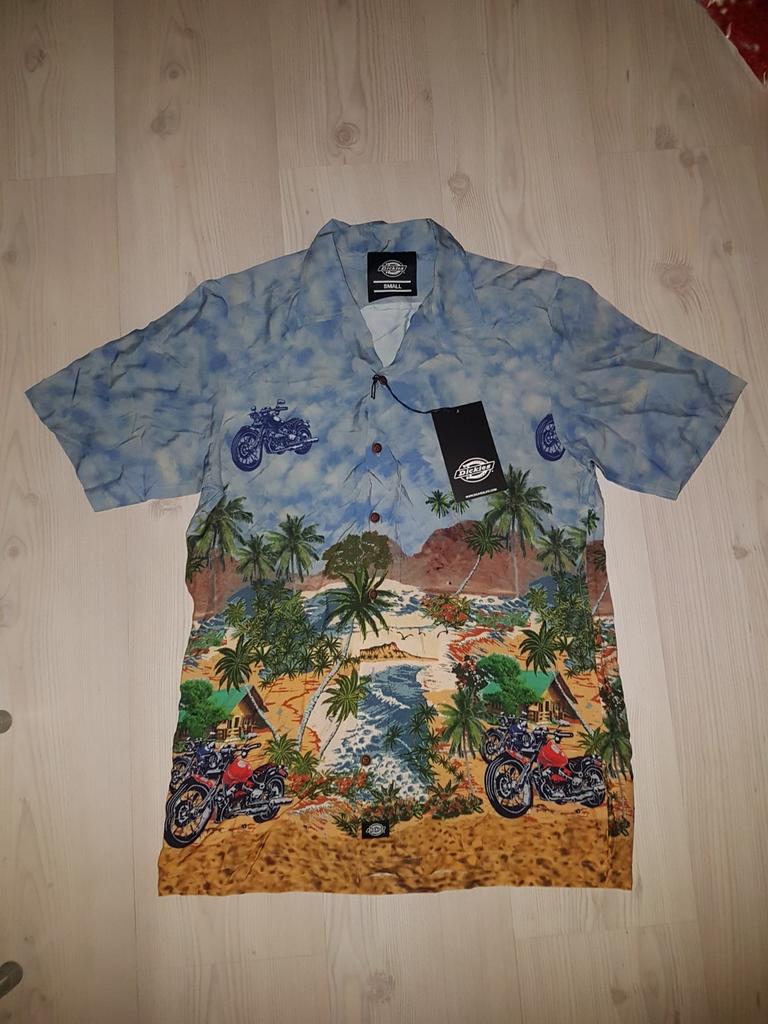 Dickies heren zomer blouse in size small, Kleding | Heren, Overhemden, Ophalen of Verzenden, Zo goed als nieuw, Blauw, Halswijdte 38 (S) of kleiner