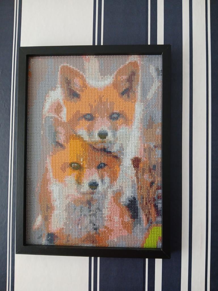 Diamond painting, Ophalen, Nieuw, Knutselwerk