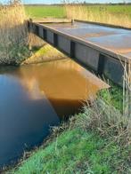 brug overspanning, Meerdere dieren, Schaap