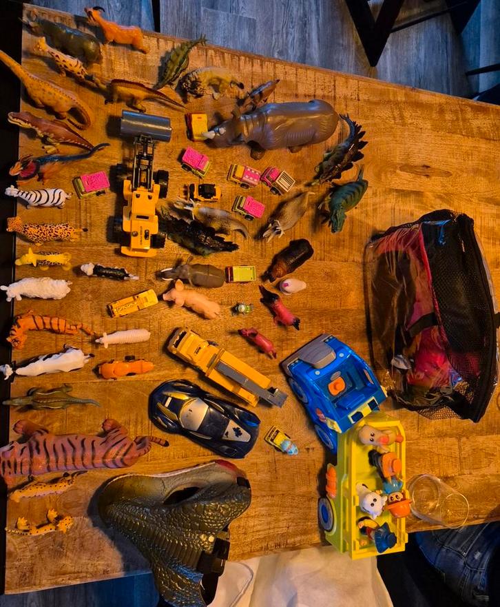 Grote partij gratis speelgoed dinosaurussen, auto's en meer!, Kinderen en Baby's, Speelgoed | Overig, Gebruikt, Jongen of Meisje