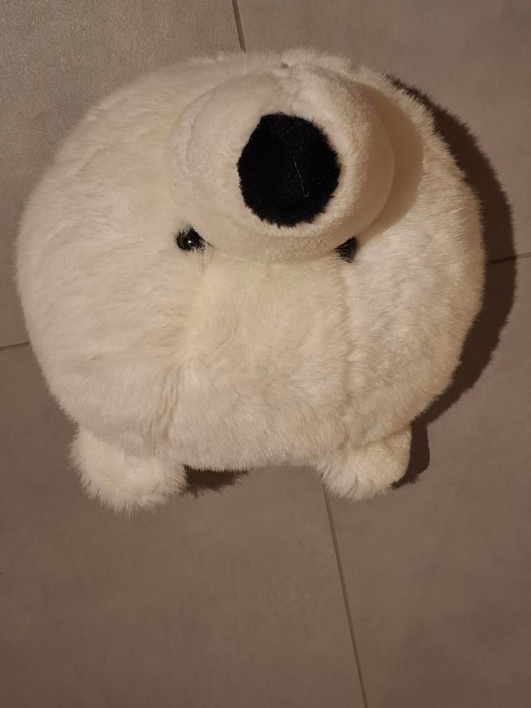 Dierenkop, ijsbeer, Ophalen of Verzenden