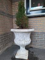 Grote betonnen bloempot / tuinvaas, Ophalen, Gebruikt, 40 cm of meer, Rond