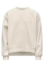 Nieuw trui 158/164, Kinderen en Baby's, Kinderkleding | Maat 158, Ophalen of Verzenden, Nieuw, Meisje, Trui of Vest