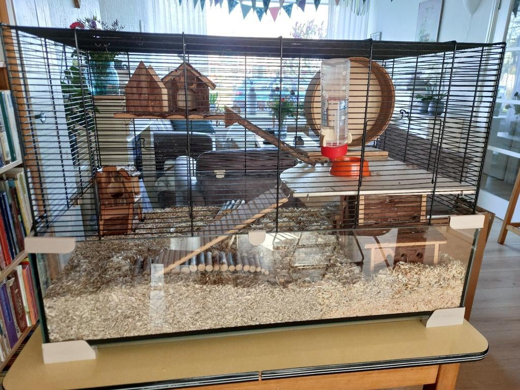 Ferplast hamsterkooi Karat 80 met toebehoren, Dieren en Toebehoren, Knaagdieren en Konijnen | Hokken en Kooien, Kooi, Minder dan 60 cm