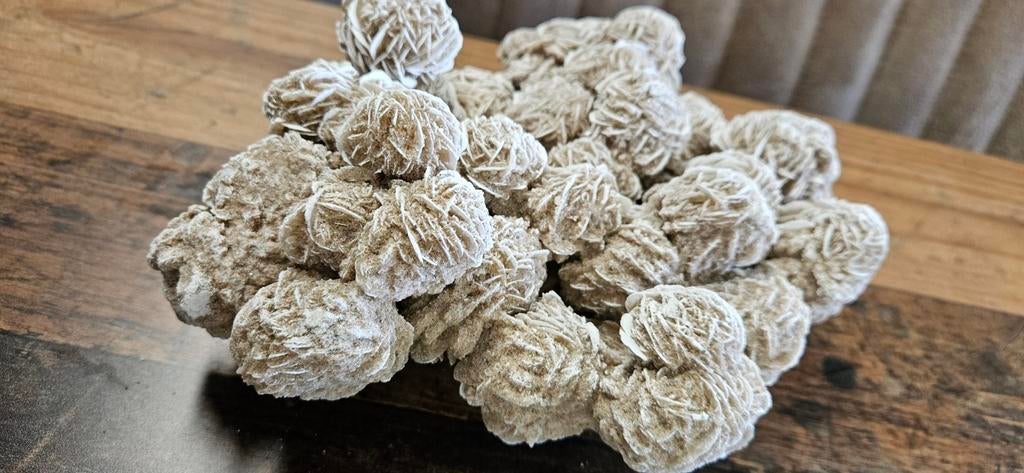 Prachtige Woestijnroos, Ophalen of Verzenden