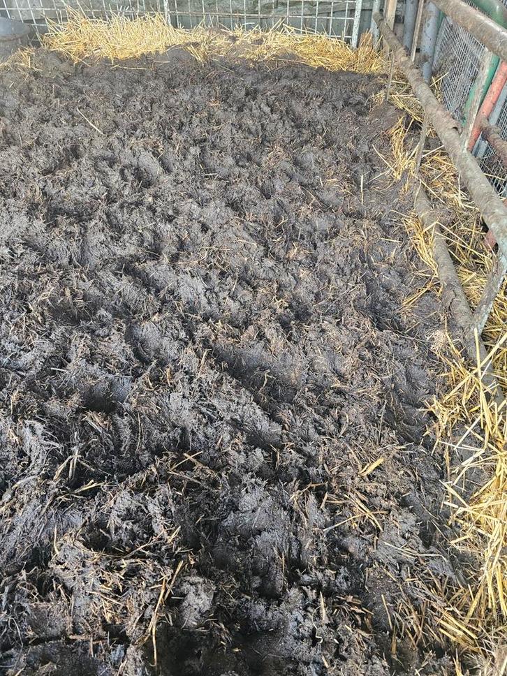 Verse runderstalmest met stro, Tuin en Terras, Aarde en Mest, Mest, Ophalen