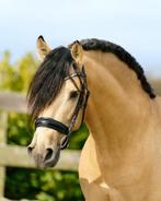 Verzorgpaard aangeboden, Ophalen of Verzenden, Nieuw