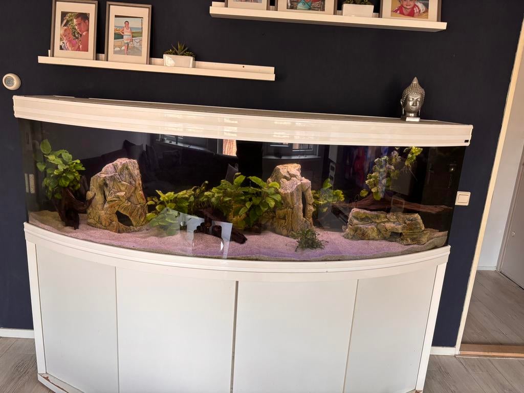 Te koop Aqualantis Horizon 2 meter, Dieren en Toebehoren, Vissen | Aquaria en Toebehoren, Gebruikt, Inclusief deksel, Aquatlantis