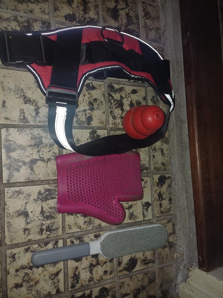 Honden accessoire, Ophalen of Verzenden