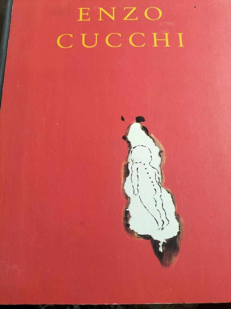 ENZO CUCCHI  KUNSTBOEK, Ophalen of Verzenden