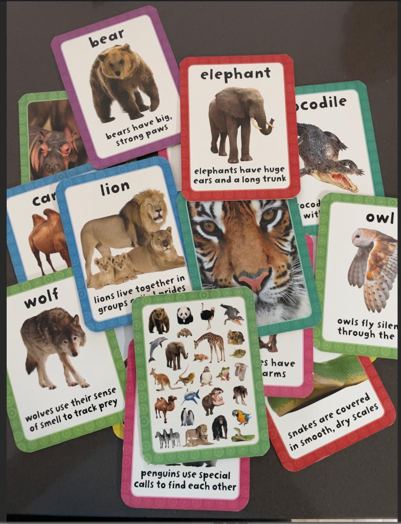 spel, Ophalen, Zo goed als nieuw, Taal en Lezen