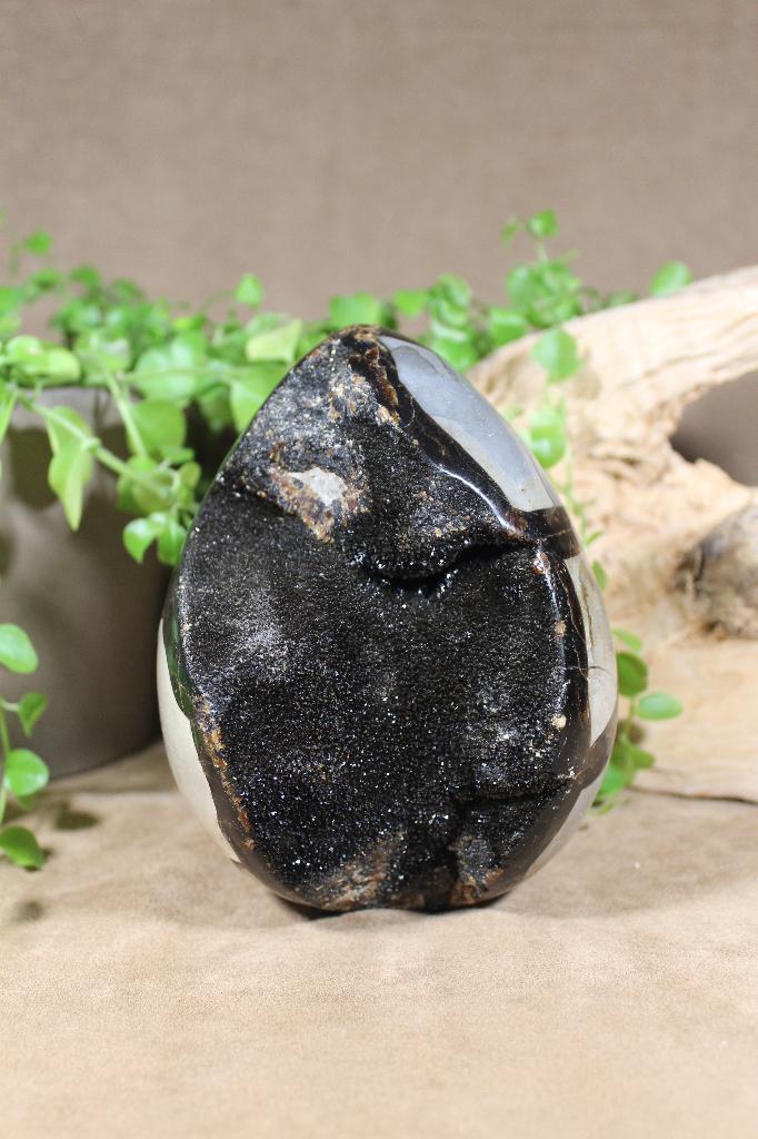 Septarie, draken ei, Verzamelen, Mineralen en Fossielen, Mineraal, Ophalen of Verzenden