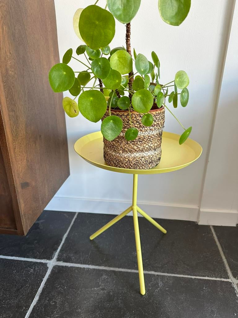 Hay geel tafeltje DLM in totaal 2 stuks, 45 tot 60 cm, Minder dan 55 cm, Rond, Ophalen of Verzenden