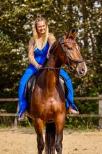 Lieve bijrijder/verzorger gezocht 21+, Lelystad, Dieren en Toebehoren, Paarden en Pony's | Overige Paardenspullen, Ophalen