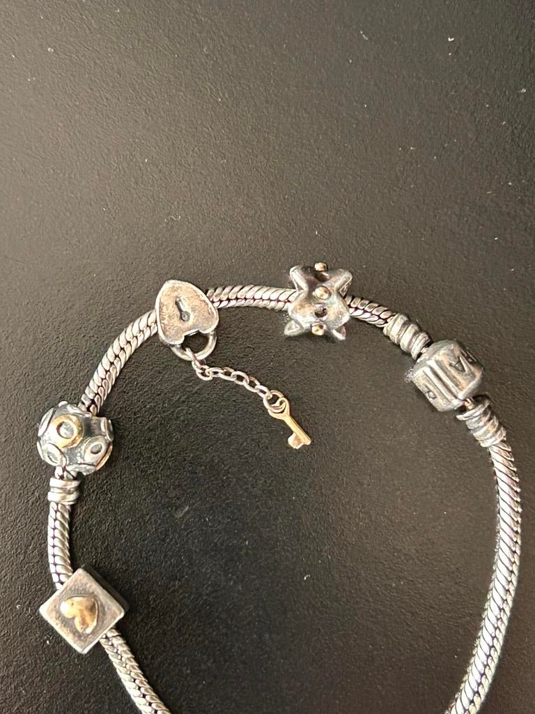 pandora bedels zilver met 14kr goud 20,- p stuk, Sieraden, Tassen en Uiterlijk, Bedels, Ophalen of Verzenden, Gebruikt, Zilver