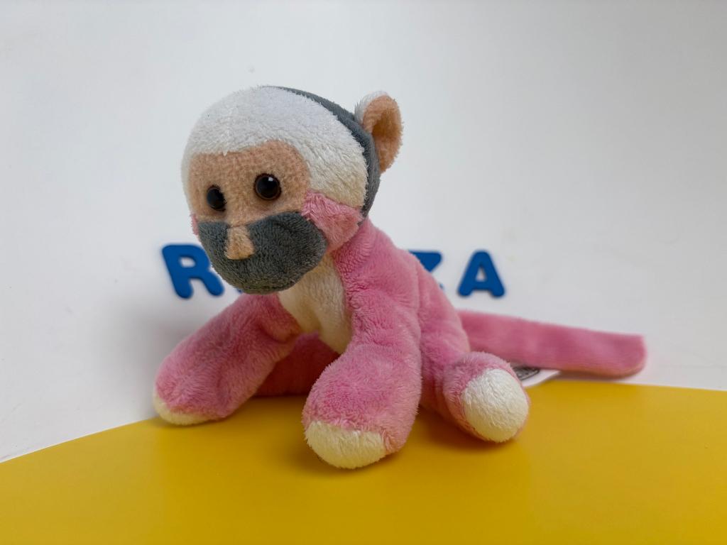 513 apenheul aap aapje roze, Ophalen of Verzenden, Overige typen