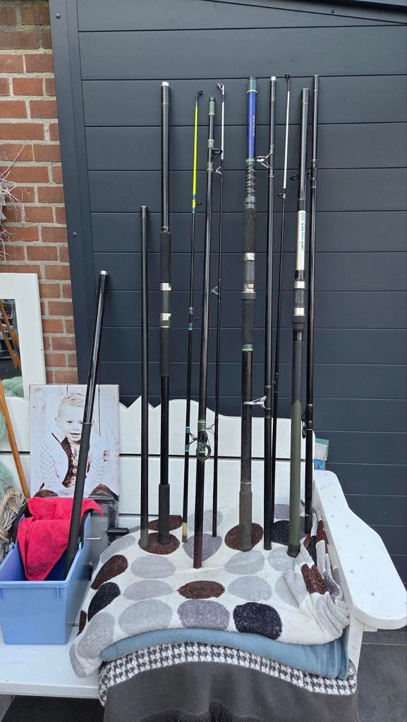 Verschillende hengels, waaronder Shakespeare en Wave, Ophalen of Verzenden