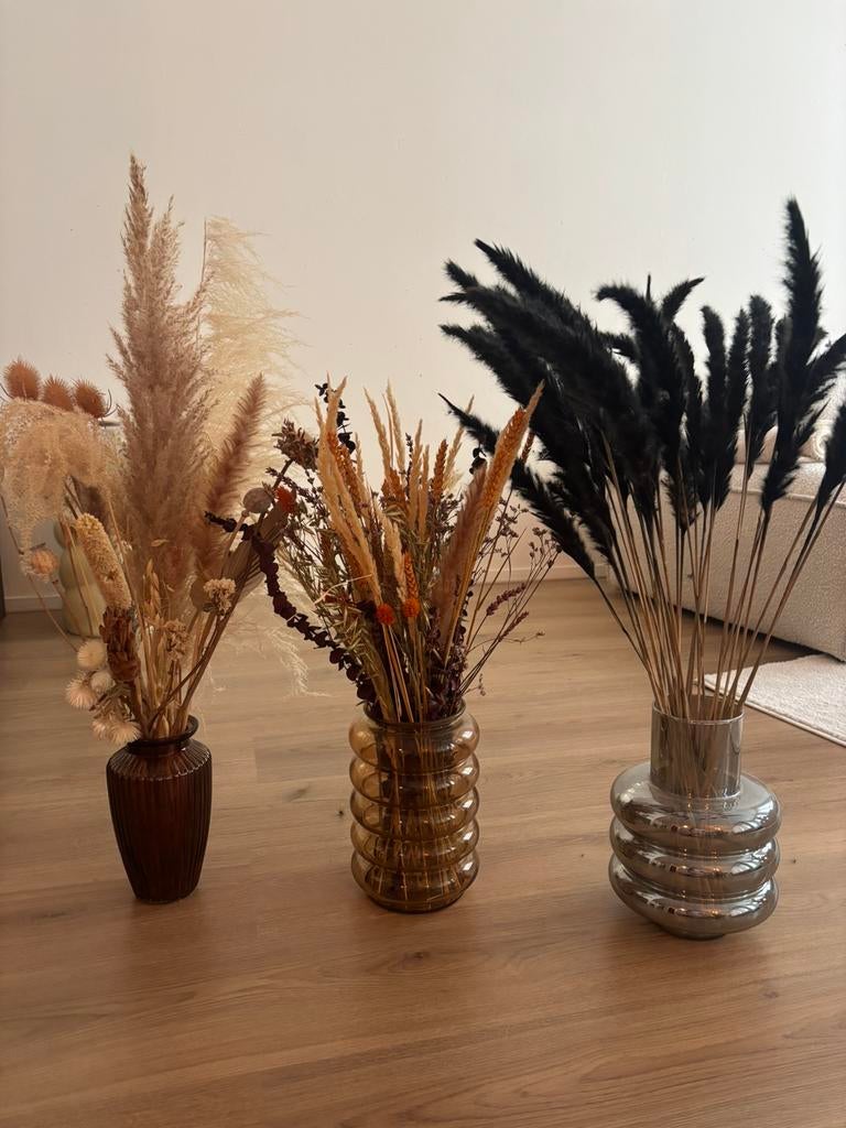 Droogbloemen drie vazen en gratis vaas zara home loods5, Ophalen of Verzenden, Zo goed als nieuw