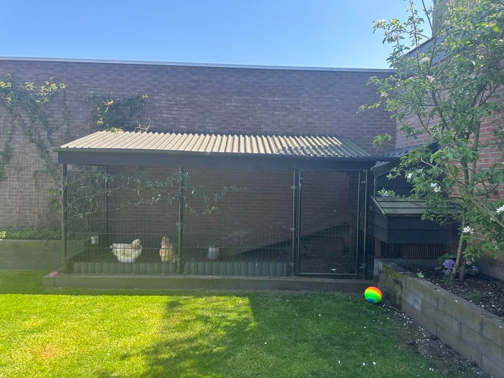 Kippen/konijnenren met binnenhok te koop, Dieren en Toebehoren, Ophalen, Gebruikt, Kippenhok of Kippenren