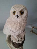 Sneeuw uil, Ophalen of Verzenden, Zo goed als nieuw, Actiefiguurtje