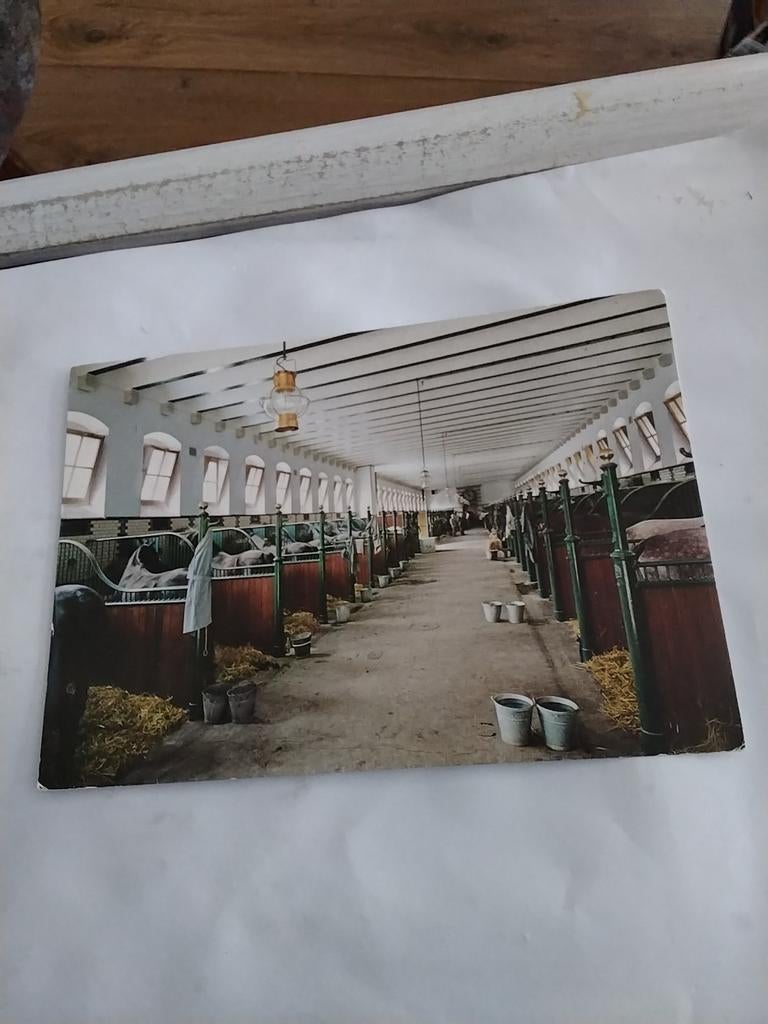 APELDOORN. KONINKLIJKE STALLEN, Ophalen of Verzenden