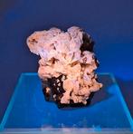 FLUORAPATIET JAPAN! (= UV + P), Ophalen of Verzenden, Mineraal