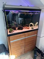 Aqvastabil Mark II Aquarium + Biomaster 850l & Vissen, Dieren en Toebehoren, Vissen | Aquaria en Toebehoren, Ophalen, Zo goed als nieuw