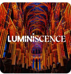 kaartjes luminiscene delft, Tickets en Kaartjes, Concerten | Overige, Twee personen, Februari