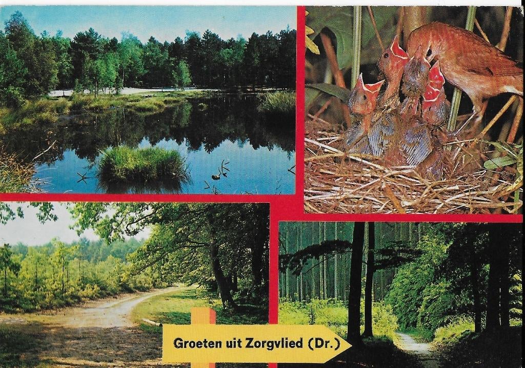 Ch501 Gelopen ansichtkaart groeten uit Zorgvlied Drenthe, Ophalen of Verzenden, 1980 tot heden, Gelopen, Drenthe