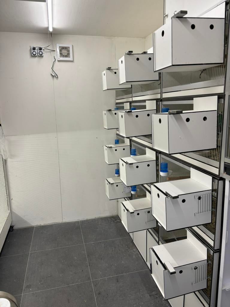 Broodkooien/ Kweekkooien, Ophalen, Zo goed als nieuw, Overige materialen, Broedkooi of Kweekkooi