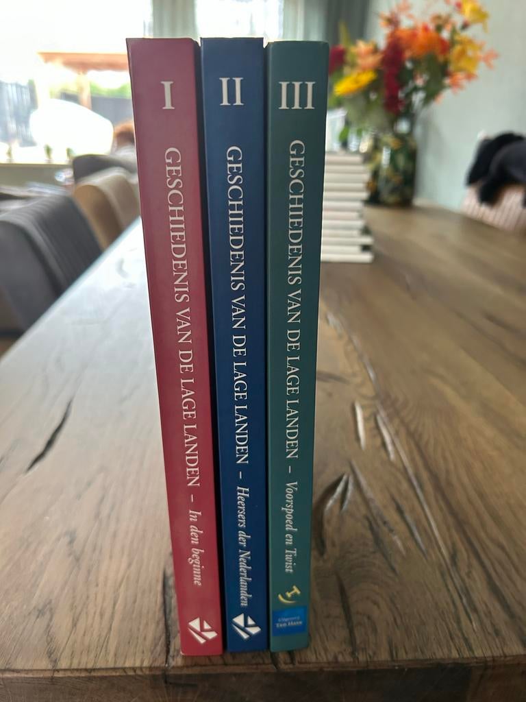 Geschiedenis van de Lage Landen - 1e druk 2005, Boeken, Ophalen of Verzenden, 20e eeuw of later, Gelezen