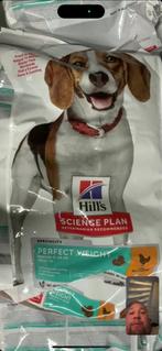 Hill hondevoer nieuwe zak, Ophalen of Verzenden, Hond