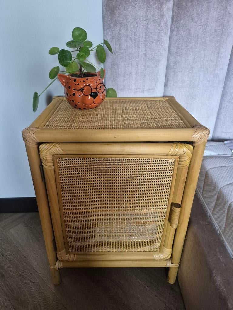 MISOU Nachtkastje Met Lade Rotan Webbing Hout | Leen Bakker