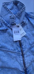 Mango denim jumpsuit, Ophalen, Nieuw, Maat 42/44 (L), Blauw