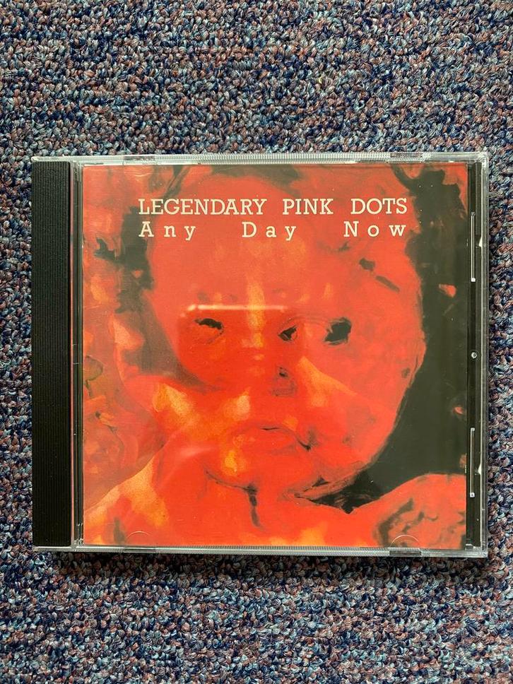 Legendary Pink Dots - Any Day Now CD, Cd's en Dvd's, Cd's | Overige Cd's, Zo goed als nieuw, Ophalen of Verzenden