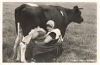 Spakenburg, koe melken, klederdracht, Ophalen of Verzenden, 1940 tot 1960, Ongelopen, Utrecht