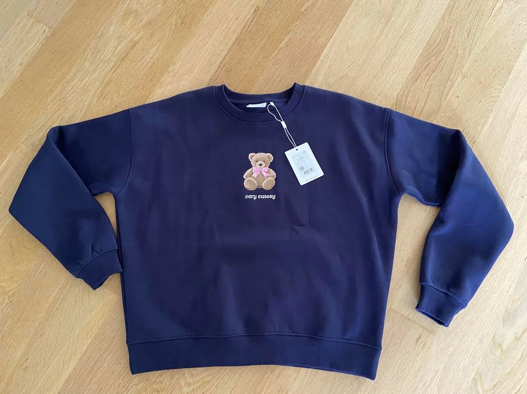 Nieuwe sweater amy & Ivy, Kleding | Dames, Truien en Vesten, Ophalen of Verzenden, Nieuw, Maat 38/40 (M), Blauw