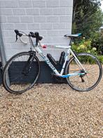 Sensa Umbria Sora Racefiets - Wit/Blauw, Fietsen en Brommers, Fietsen | Racefietsen, 28 inch, Gebruikt, Heren, Aluminium