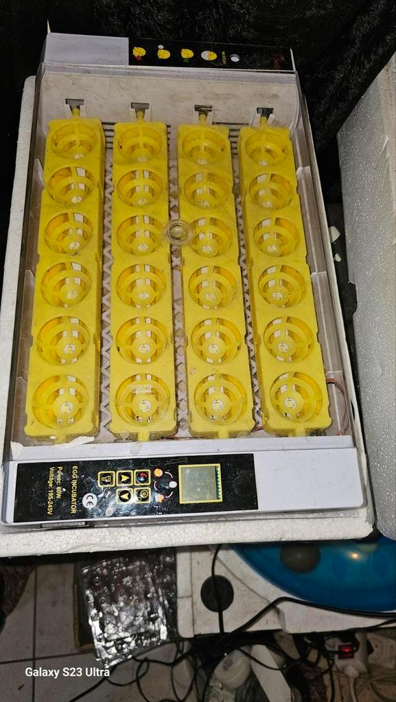 broedmachine 24 eieren, Dieren en Toebehoren, Pluimvee | Toebehoren, Zo goed als nieuw, Broedmachine, Ophalen of Verzenden