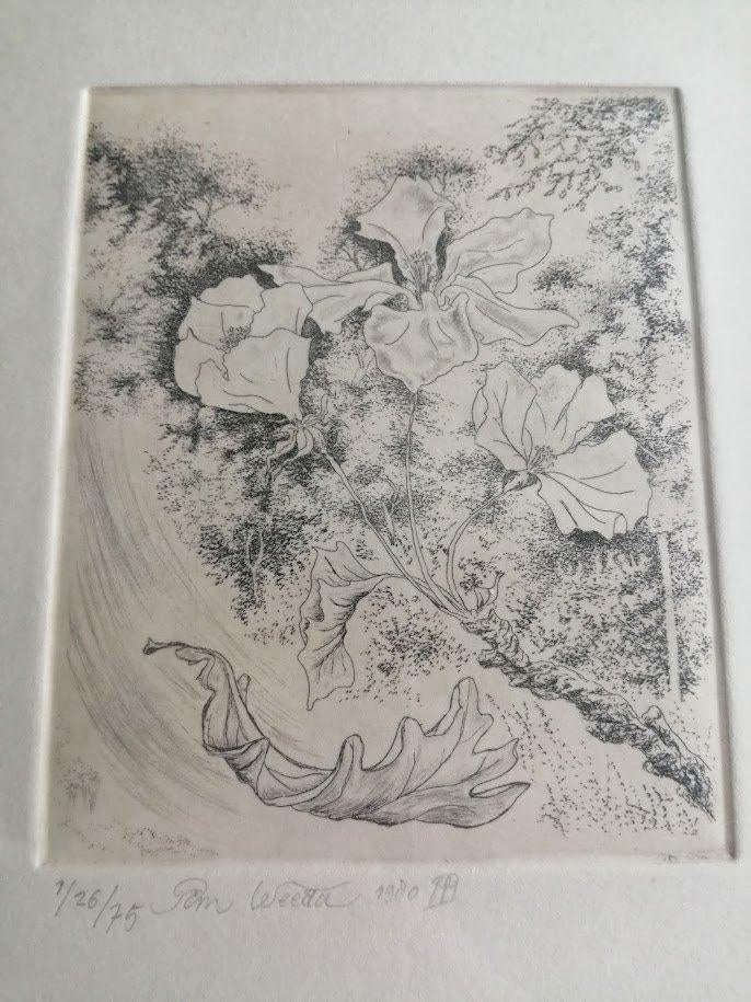 Ets bloemen in glazen lijstje gesigneerd Weeda, Antiek en Kunst, Ophalen