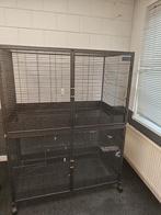 Savic suite Royal xl Rattenkooi Frettenkooi, Ophalen, Kooi, Konijn, 90 cm of meer