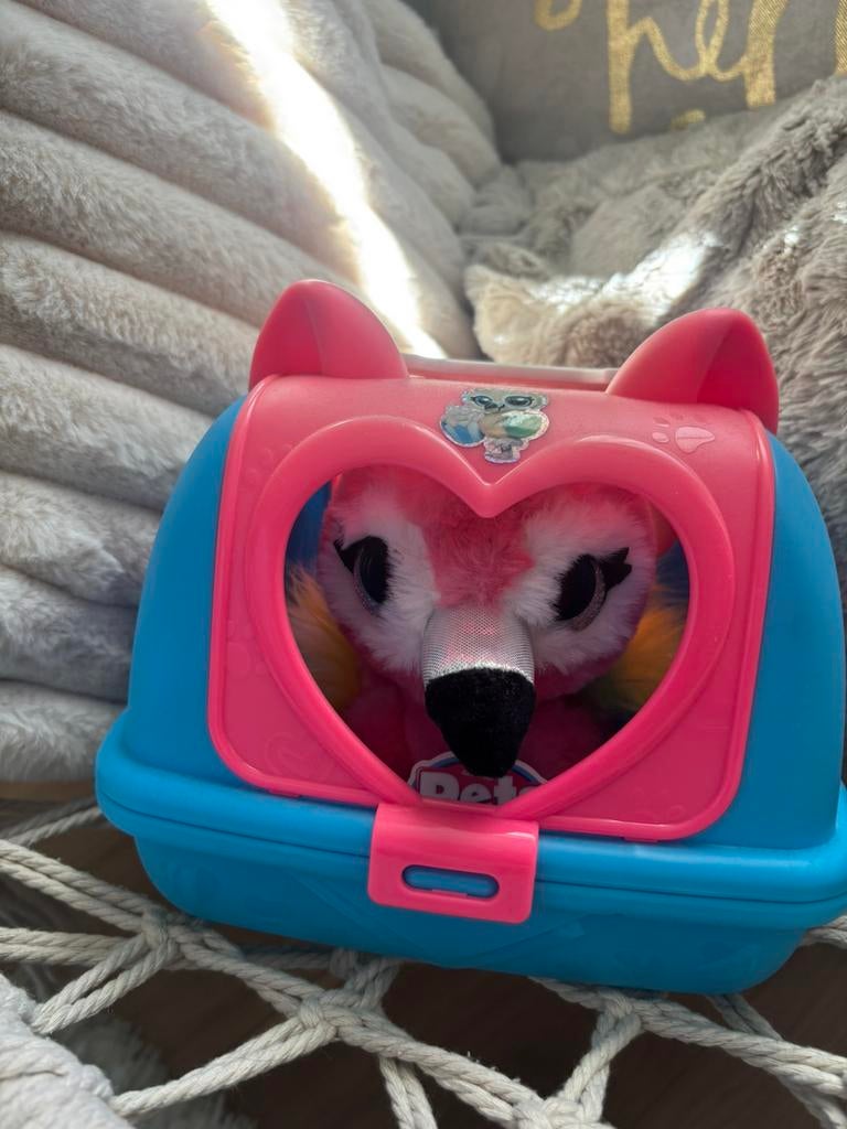 Pets alive flamingo, Geslacht onbekend, Januari, Overige typen, Tam