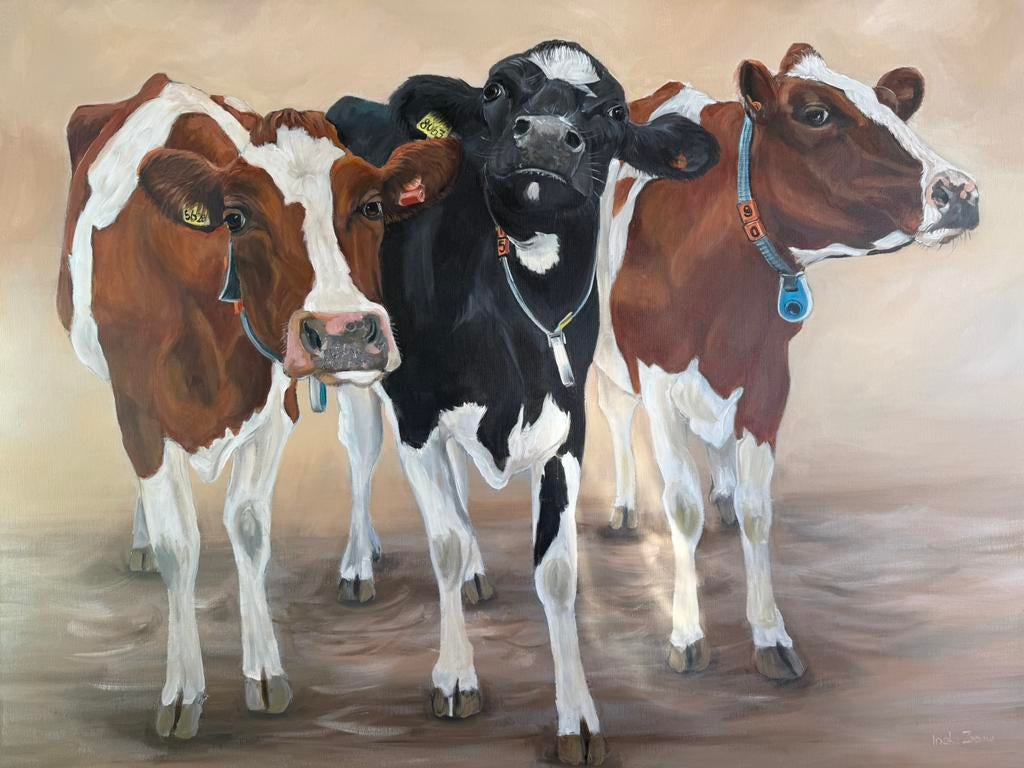 Schilderij koeien acrylverf op doek, Ophalen of Verzenden
