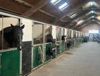 Stalling vrij bij Manege de Dollard Winschoten, Stalling, 4 paarden of pony's of meer